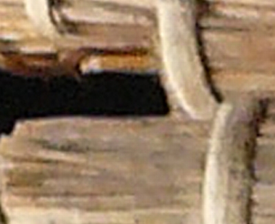 detail.JPG